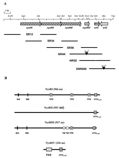 FIG. 1.