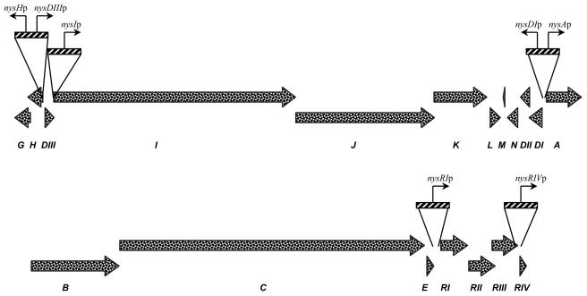 FIG. 3.