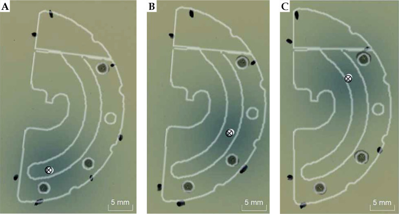 Fig. 3