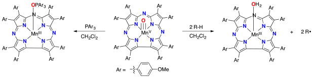 Scheme 4