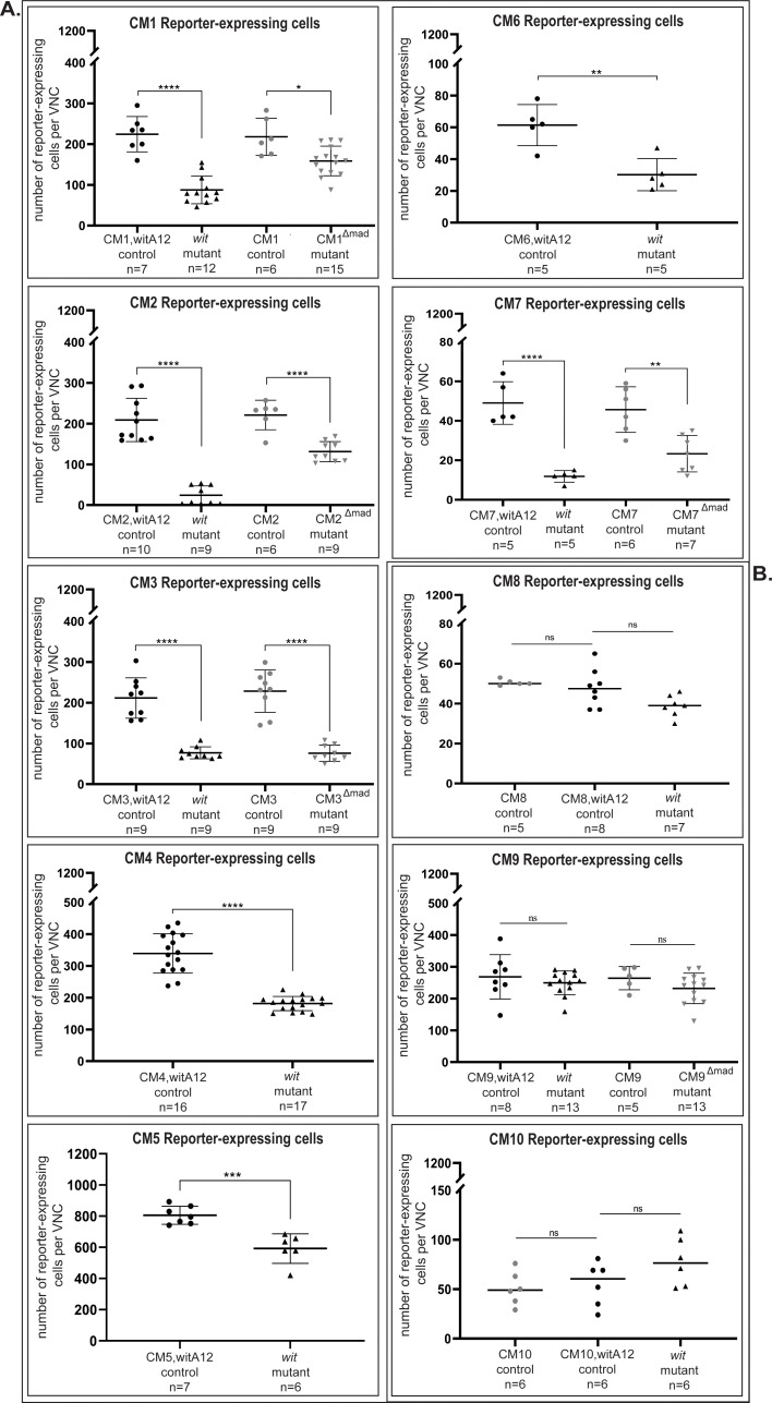 Figure 6—figure supplement 2.