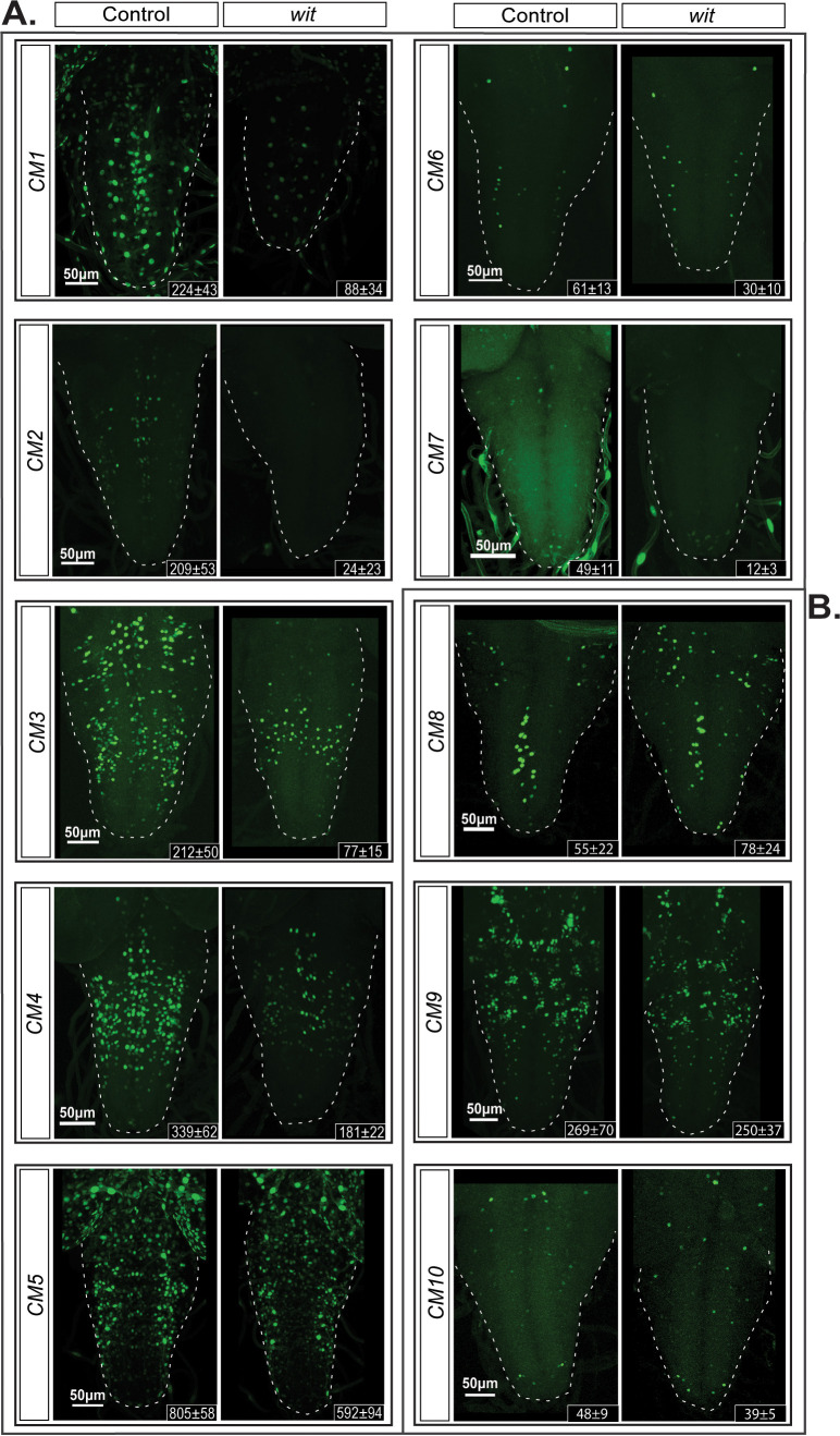 Figure 6.