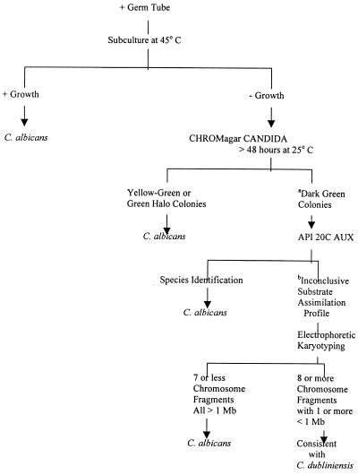 FIG. 1