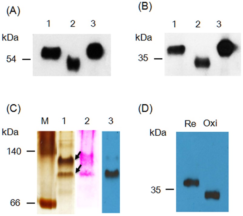 Fig 9