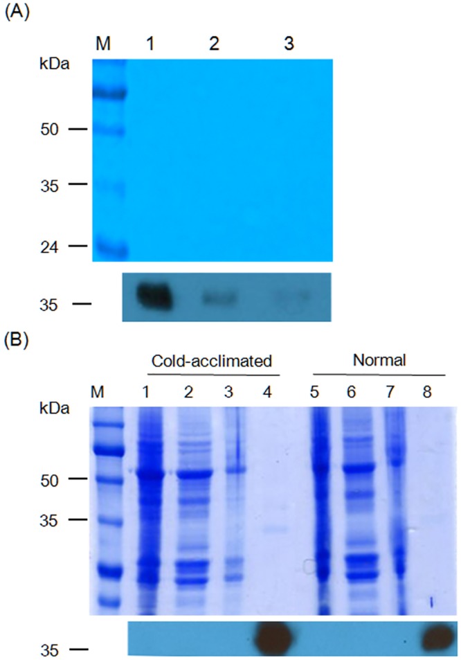 Fig 8