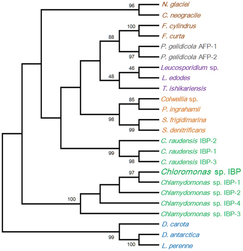 Fig 6