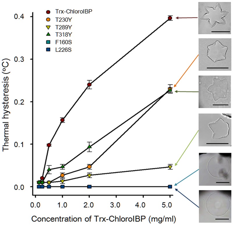 Fig 12