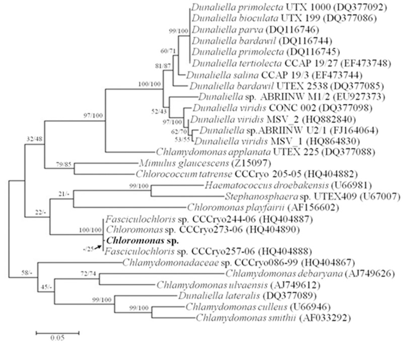 Fig 3