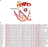 Figure 1—figure supplement 2.