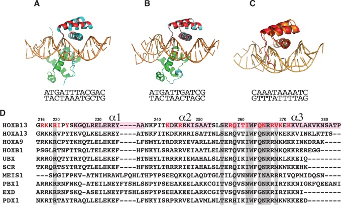 Figure 1—figure supplement 1.