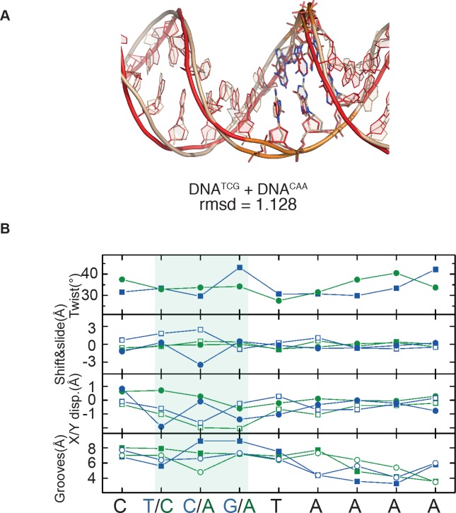 Figure 2—figure supplement 1.