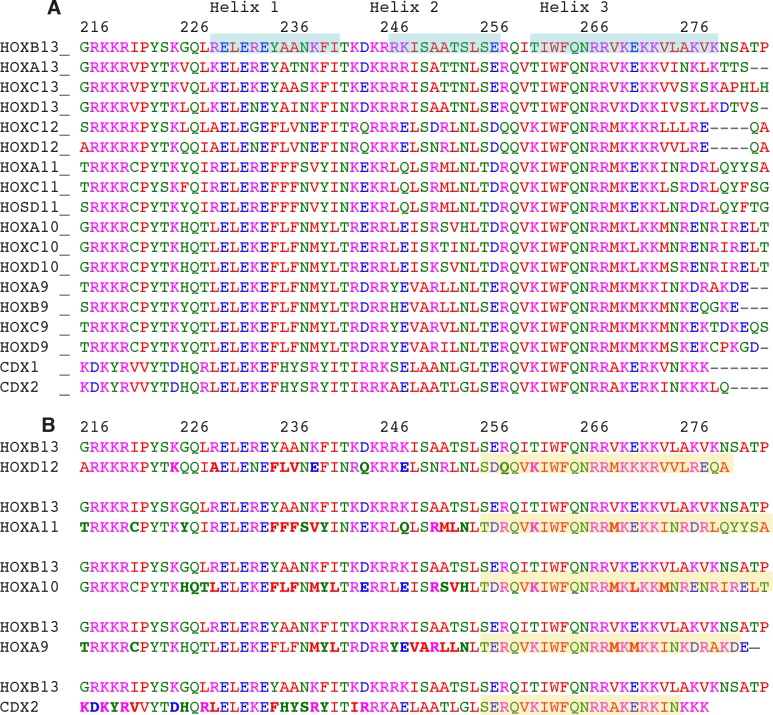 Figure 2—figure supplement 2.