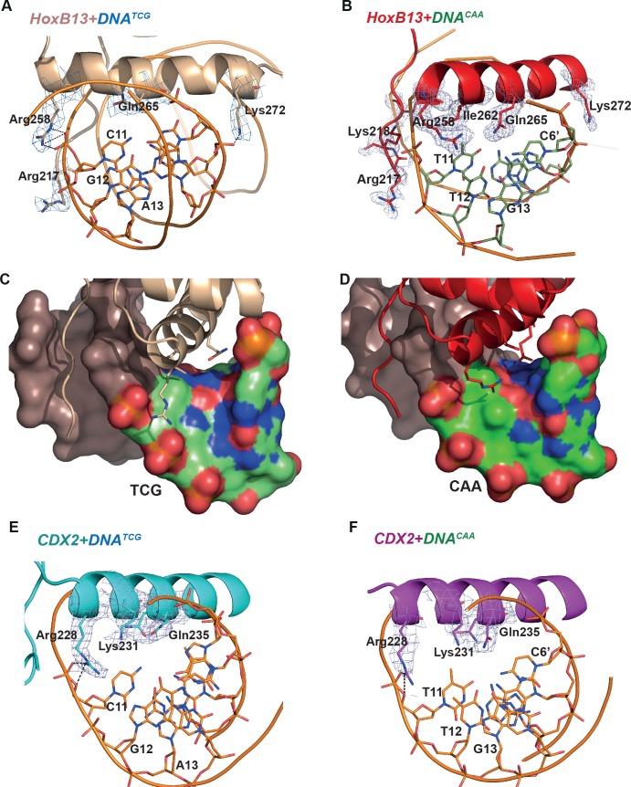 Figure 3.