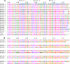 Figure 2—figure supplement 2.