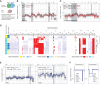 Figure 2. SCNA analysis confirms fluorescence-based lineage relationships and reveals genetic heterogeneity in paired primary pancreatic tumors and liver metastases. A, Schematic representation of KPCXY pancreatic tumor and matching liver metastases with multiregion sampling for copy-number sequence analysis. B, Representative genome-wide copy-number profiles of MetHigh (CFP+ fluorescence) and MetLow (YFP+ fluorescence) tumors from mouse 832 (m832) as depicted in Fig. 1E. Gray shading denotes alterations that are unique to the MetHigh (CFP+) tumor. The y-axis illustrates normalized read count values (low ratio), which are directly proportional to genome copy number at a given chromosomal location. The copy-number profiles are centered around a mean of 1 with gains and deletions called for segments with values higher and lower than the mean, respectively (Methods). C, Representative genome-wide copy-number profiles of three subsampled tissue regions of the MetHigh (CFP+) primary tumor from m832. Gray shading denotes alterations that are found heterogeneously from multiregion sequencing of the primary tumor. D, Genome-wide heat map with hierarchical clustering based on copy-number alterations of matched primary and metastatic samples profiled from m832. E, Representative genome-wide copy-number profiles of fluorescently matched primary and metastatic tissue from two profiled mice (m832, left; m836, right), illustrating the shared clonal genetic lineage. F, Zoomed-in chromosomal views of copy-number alterations with distinguishing breakpoint patterns supporting shared genetic lineage. Panels are ordered as in E.