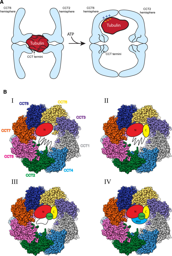 Figure 4.