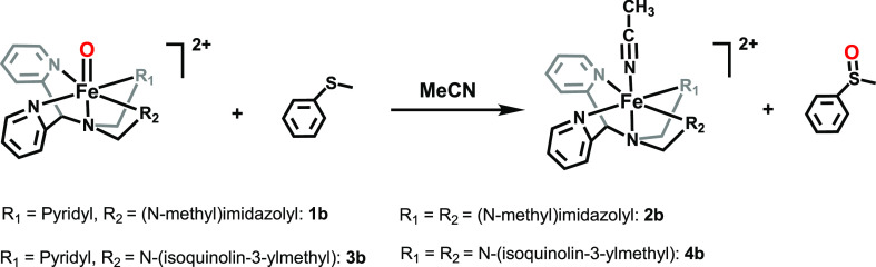 Scheme 2