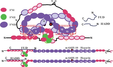 FIGURE 7.