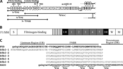 FIGURE 1.