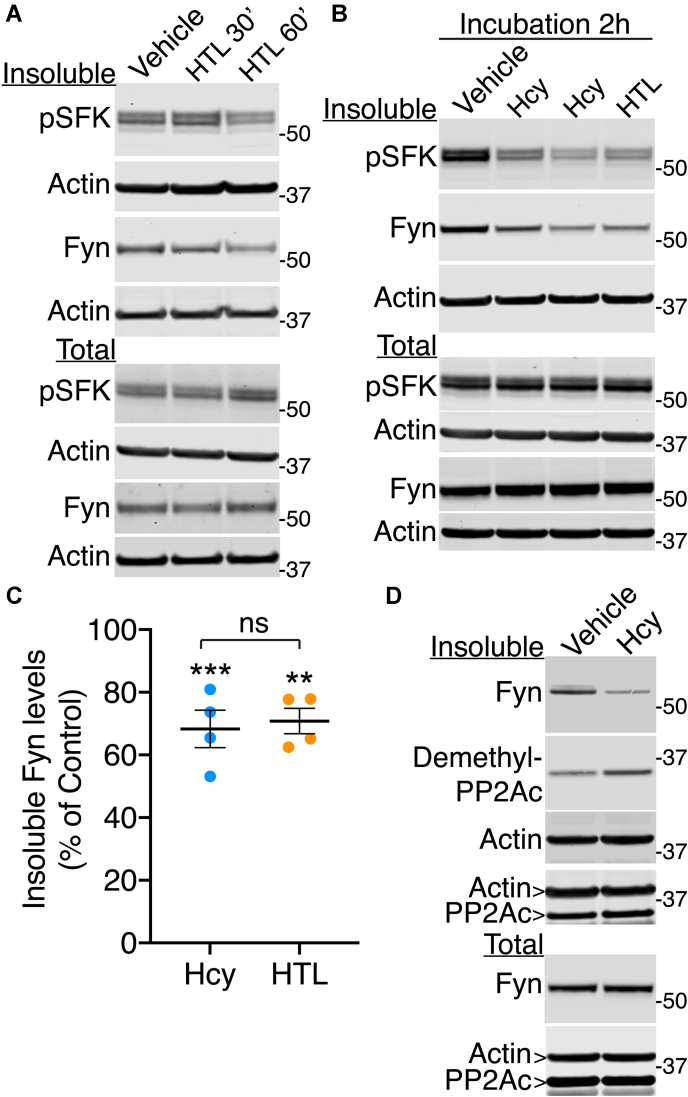 Figure 7