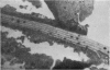112