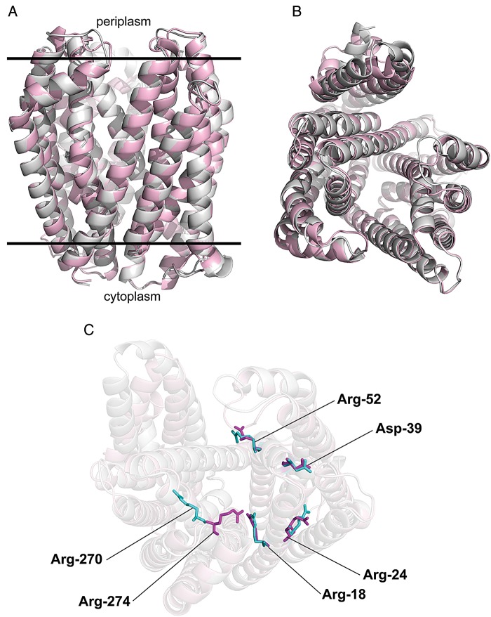 Fig. 8.