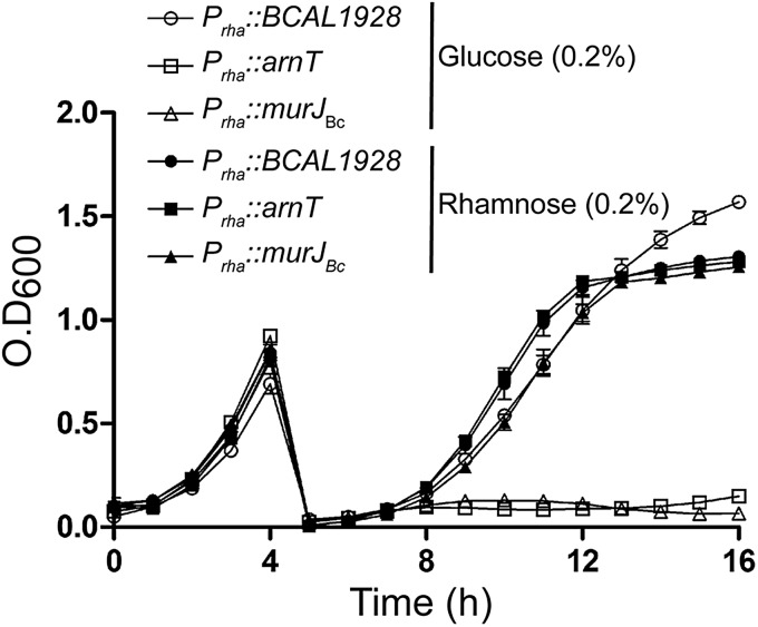 Fig. 2.