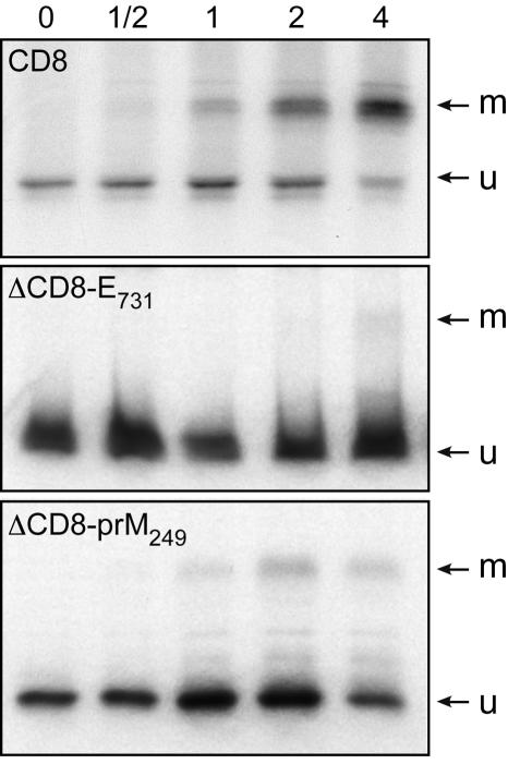 FIG. 8.