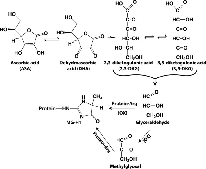 FIGURE 6