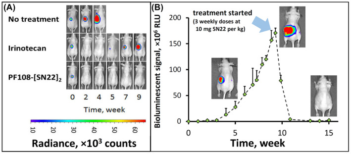 FIGURE 3