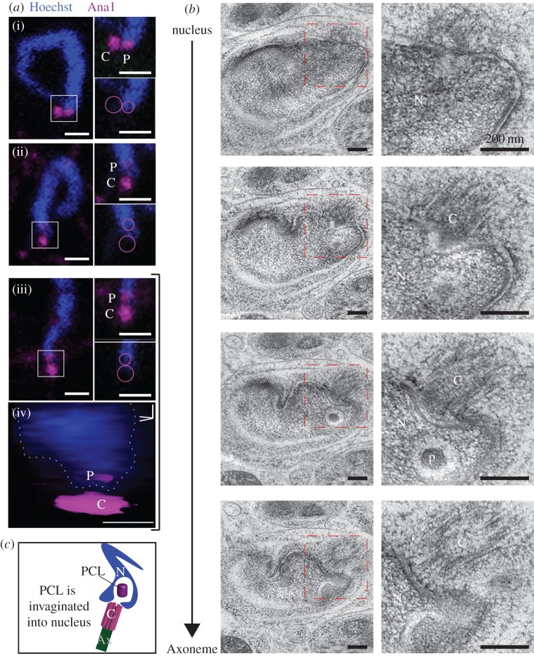 Figure 6.