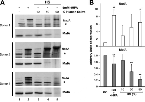 FIG 6