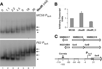 FIG 2