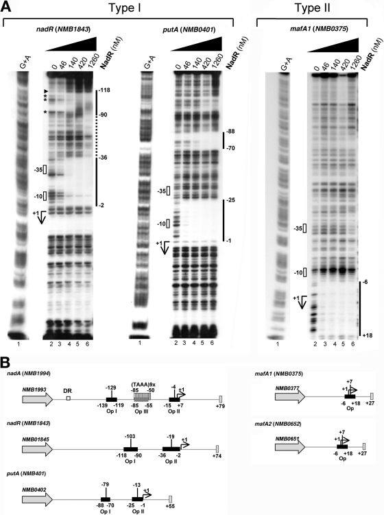 FIG 3