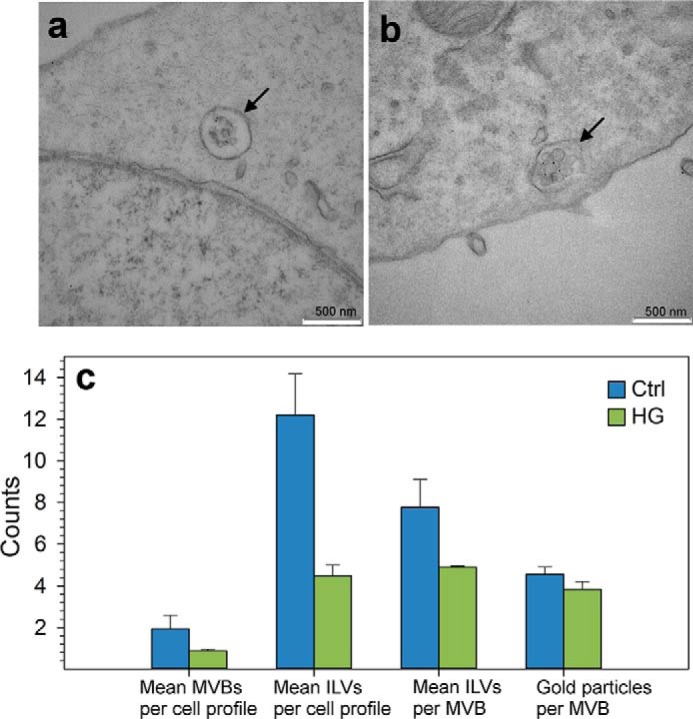 FIGURE 11.