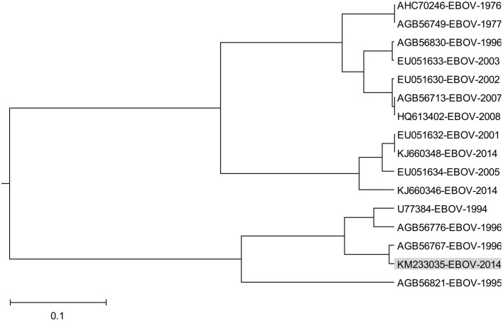 Figure 5