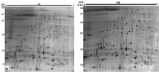 Fig. 2: