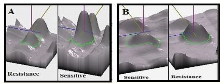 Fig. 3: B: