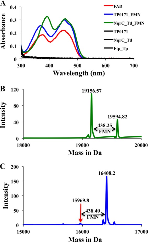 FIG 3 