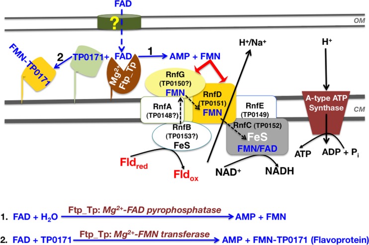 FIG 7 