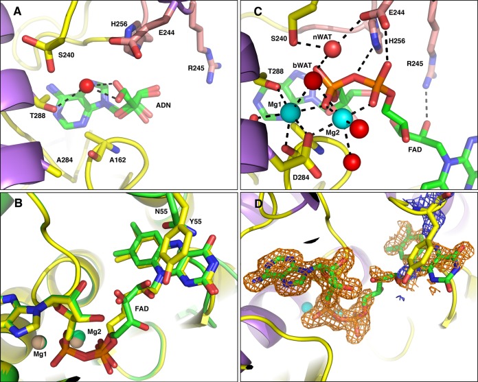 FIG 6 