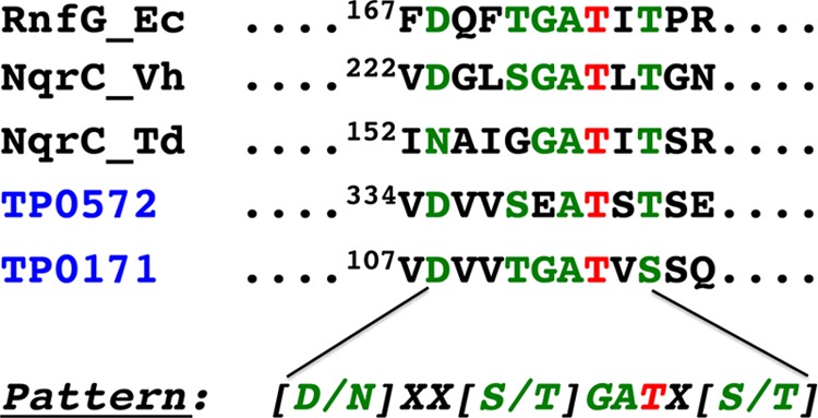 FIG 1 