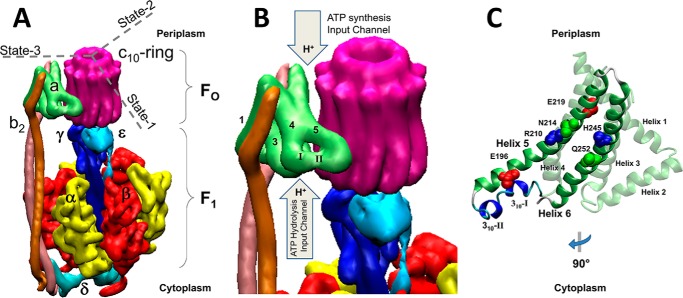 Figure 1.