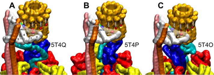 Figure 9.