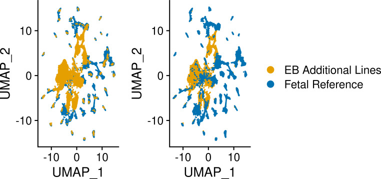 Figure 3—figure supplement 2.