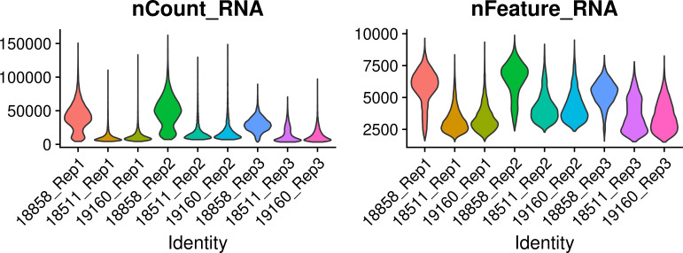 Figure 1—figure supplement 1.