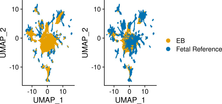 Figure 2—figure supplement 2.