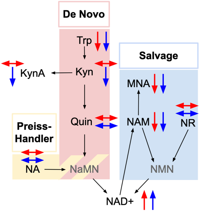 Figure 3