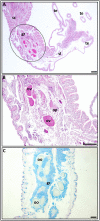 Fig 2