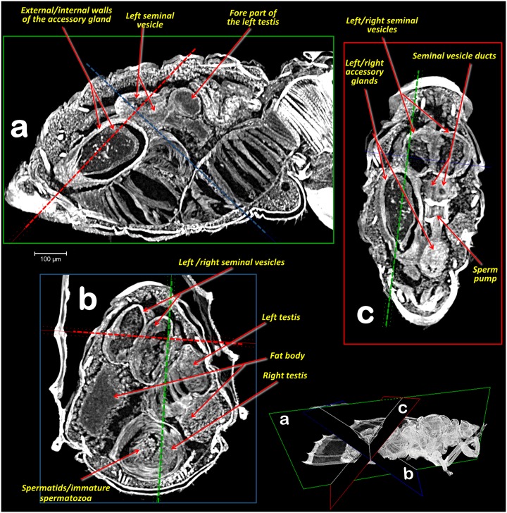 Fig 4